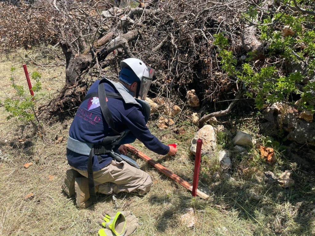 Humanitarian Mine Action Operation 5
