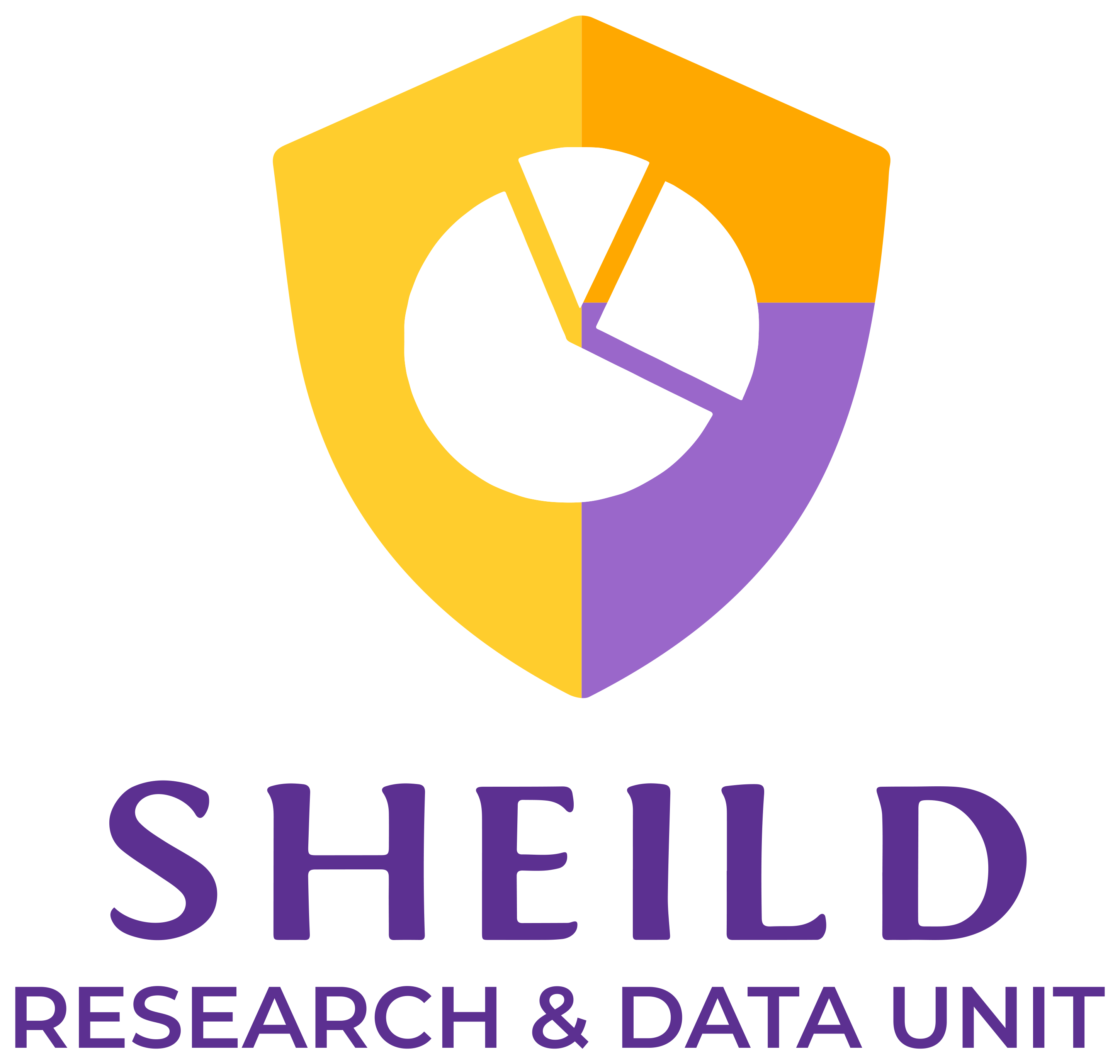 SHEILD Innovation & Research Group